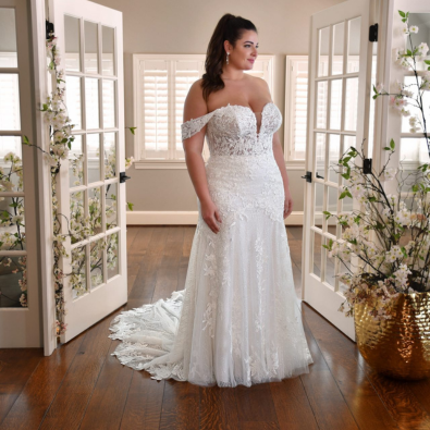 Essense of Australia Plus Size Trunk Show Main Image
